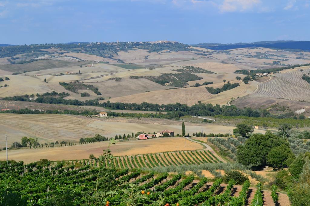 Agriturismo La Disperata Villa San Quirico dʼOrcia Стая снимка